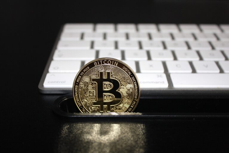 Bitcoin und Kryptowährungen: Funktion, Anwendung und Kritik