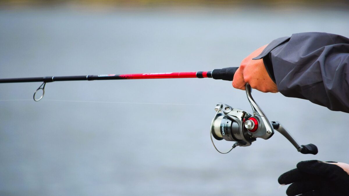 Angelrute mit Rolle am Ufer eines Sees, daneben Kescher und Gerätetasche