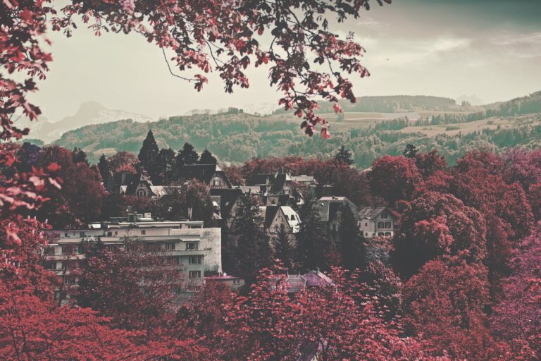 Rasenpflege im Herbst: Tipps für einen perfekten Rasen in Bern