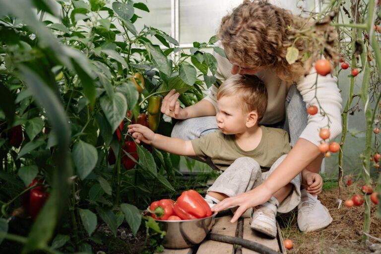 Selbstversorgung im Garten: Frisches Obst und Gemüse aus eigener Ernte