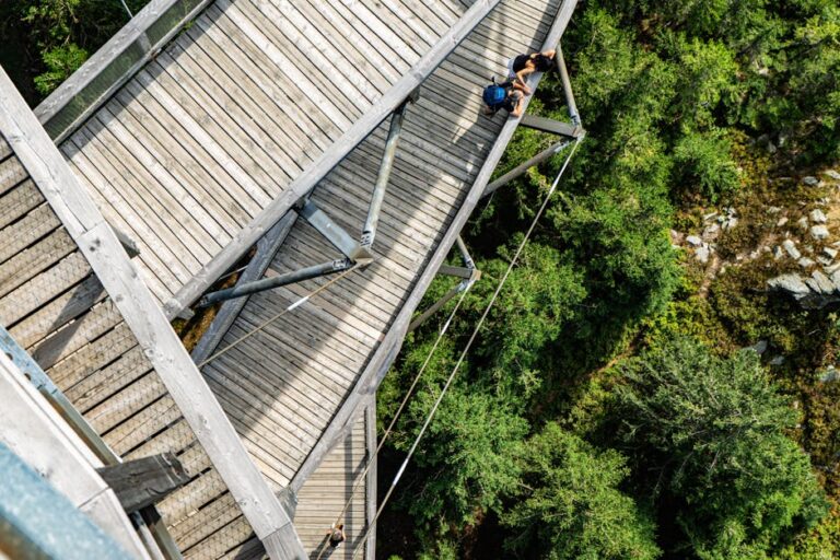 skywalk allgaeu baumwipfelpfad tipps