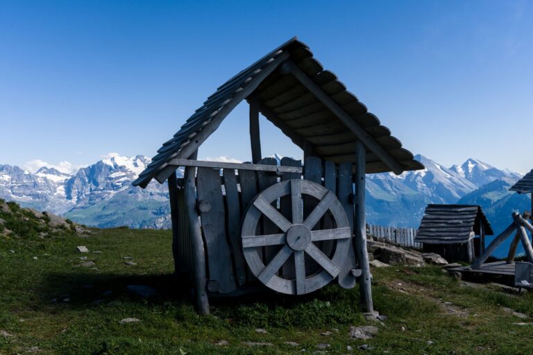 Grosse Laibe Schweizer Hartkäse reifen im Käsekeller