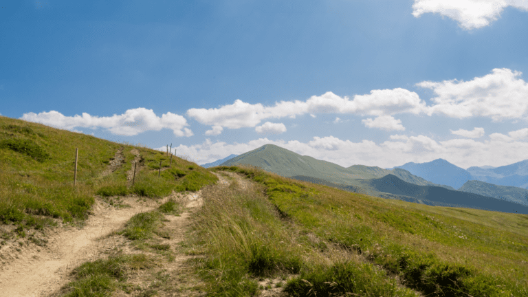 Wanderweg in den Schweizer Bergen im Sommer