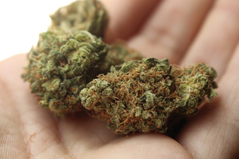 weed g22f49716a 1280