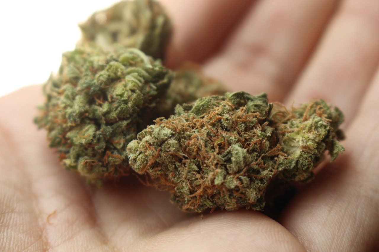 weed g22f49716a 1280