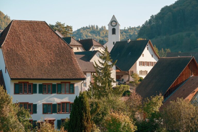 Wohnhäuser in einem Schweizer Dorf vor einer Bergkulisse